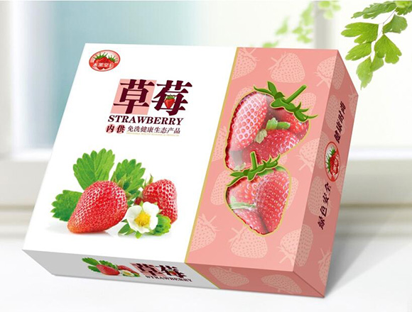 水果纸质包装