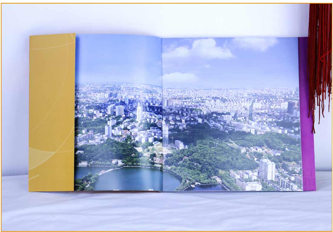 湖南益阳宣传画册印刷厂家