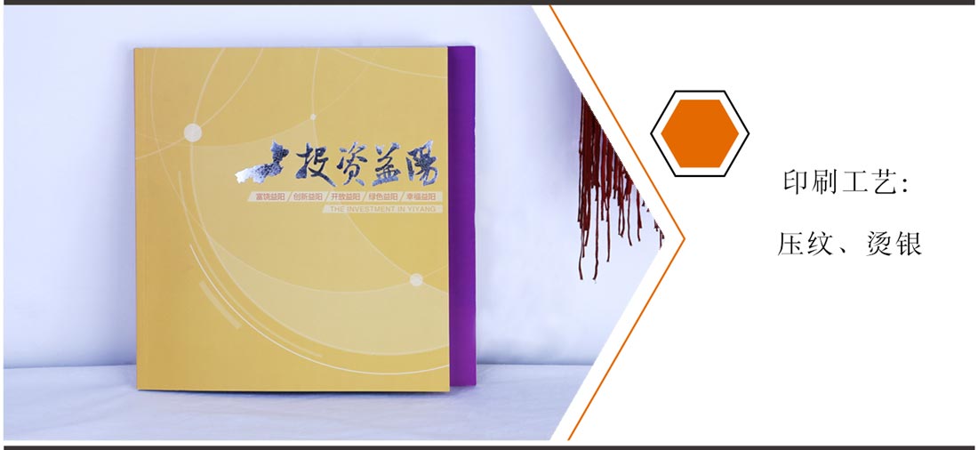 湖南益阳宣传画册印刷厂家